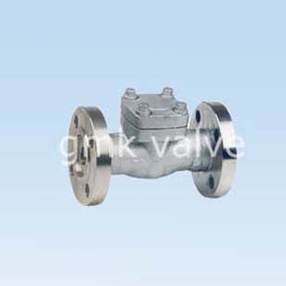 forged-steel-flange-check-valve