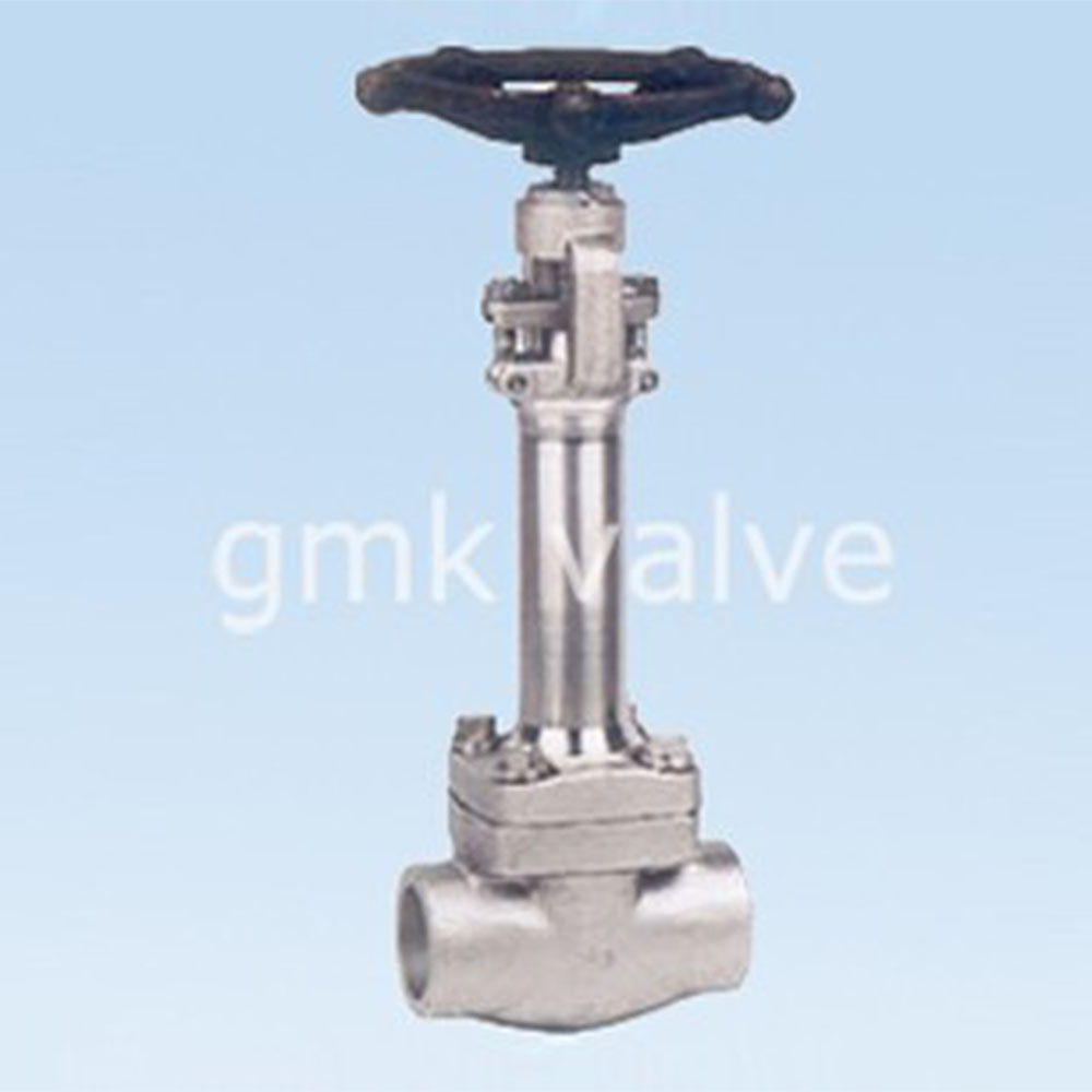 forged-steel-cryogenic-globe-valve