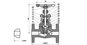 forged-steel-flange-globe-valve